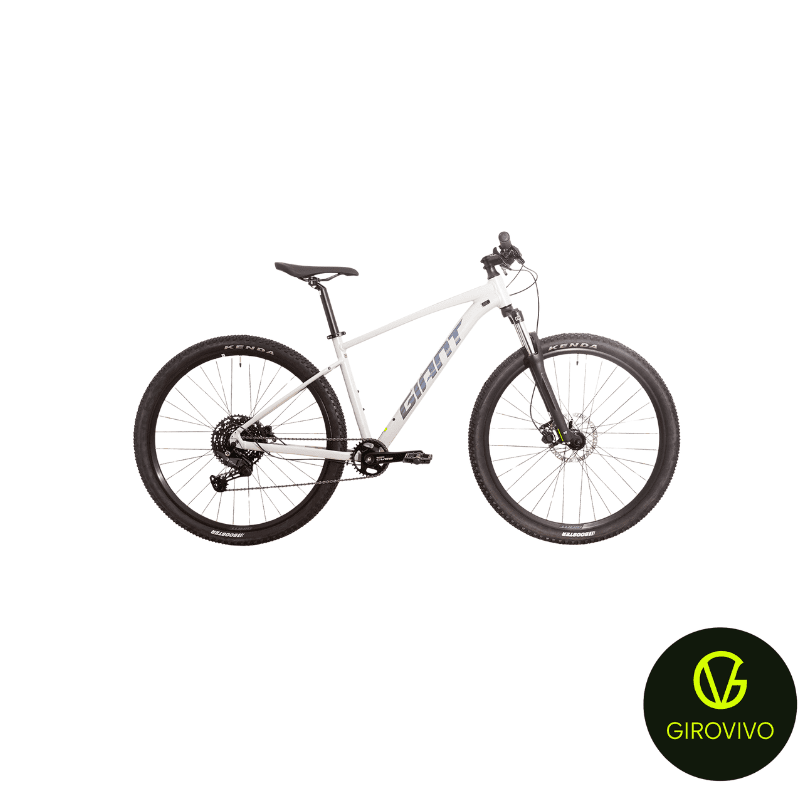 TALON 29 3 C10 (GOOD GREY, L, 2024) (CUES)