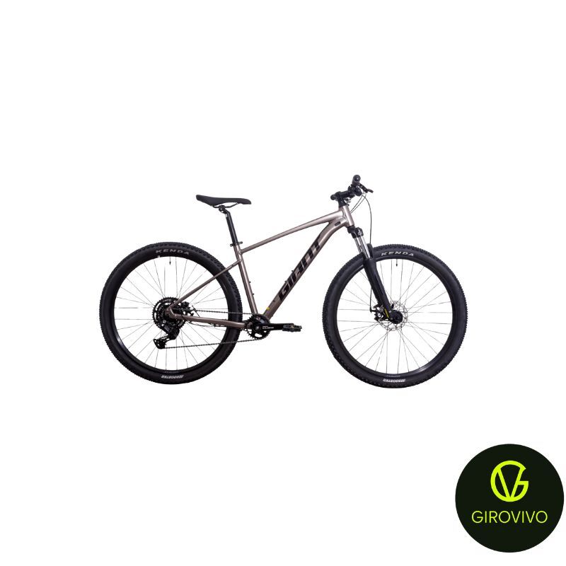 TALON 29 4 C9 (METAL, M, 2024)